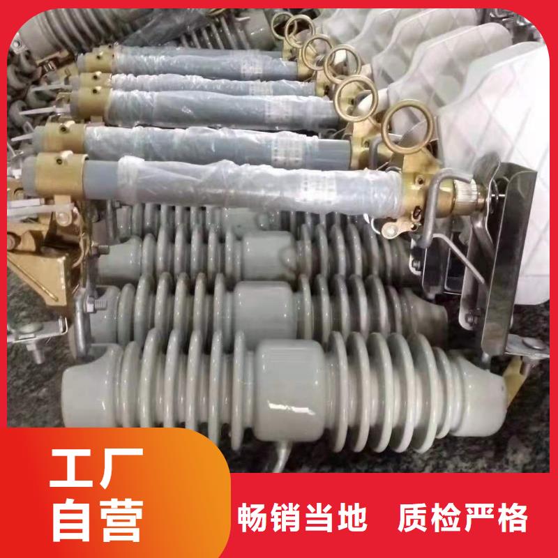 跌落式熔断器XRNP-10KV高压限流熔断器细节决定成败