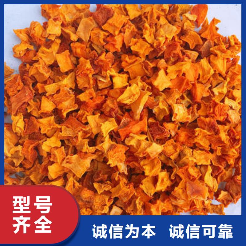 龍文南瓜丁圖片