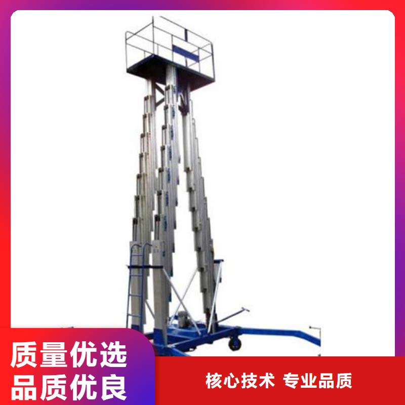 大型貨物升降平臺價格