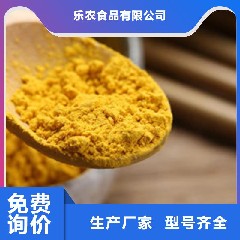 南瓜全粉源頭廠家