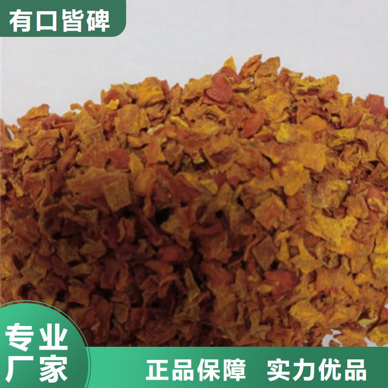 南瓜粒信息