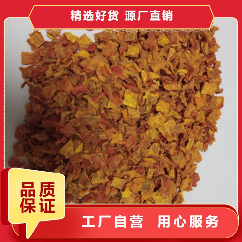 南瓜丁信息