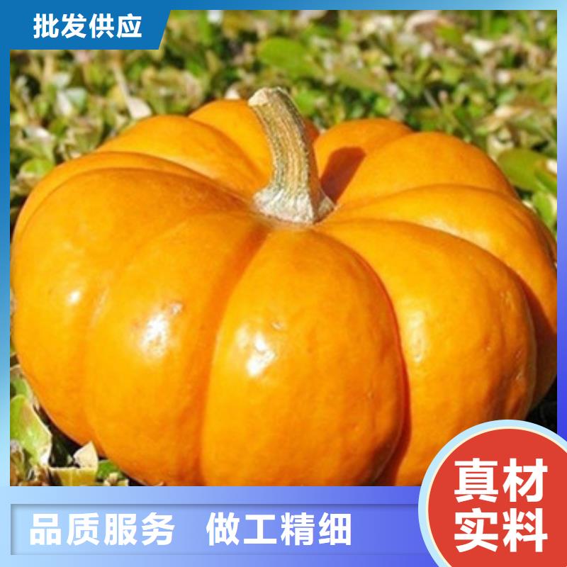 无皮南瓜粒采购价格