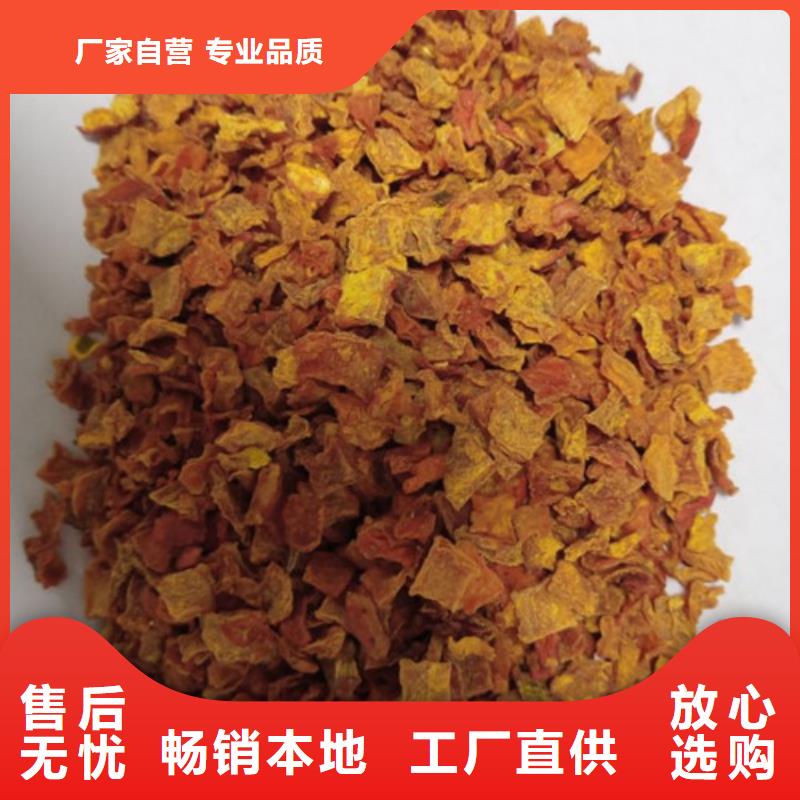 保亭縣無籽脫水蔬菜丁（金瓜丁）基地種植