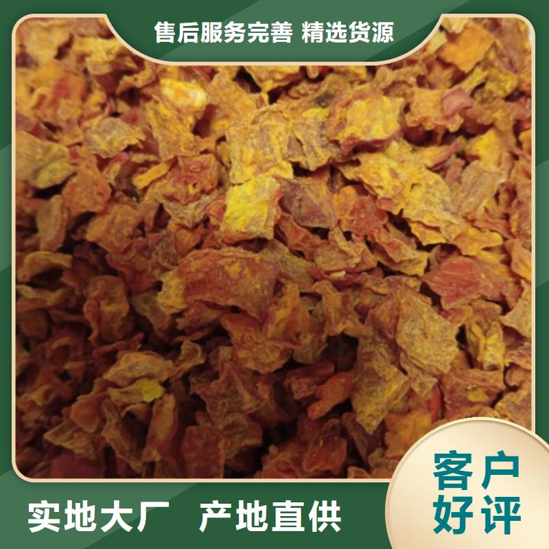 南瓜粒信息