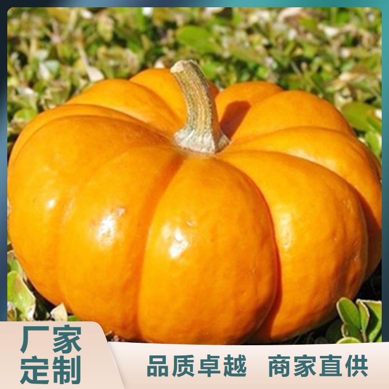 南瓜丁多重优惠