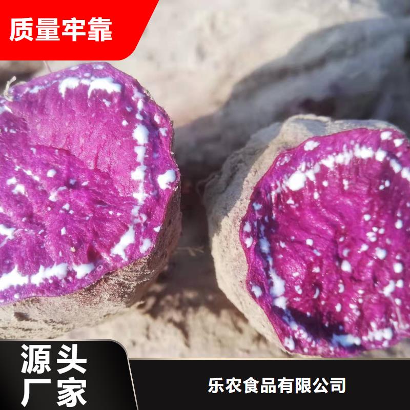 紫薯苗紅薯粉一件也發貨