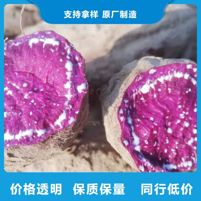紫色地瓜苗（夏薯）歡迎致電