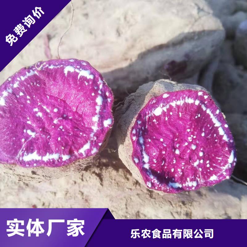 澄邁縣麥茬苗（紫薯)就選樂農食品