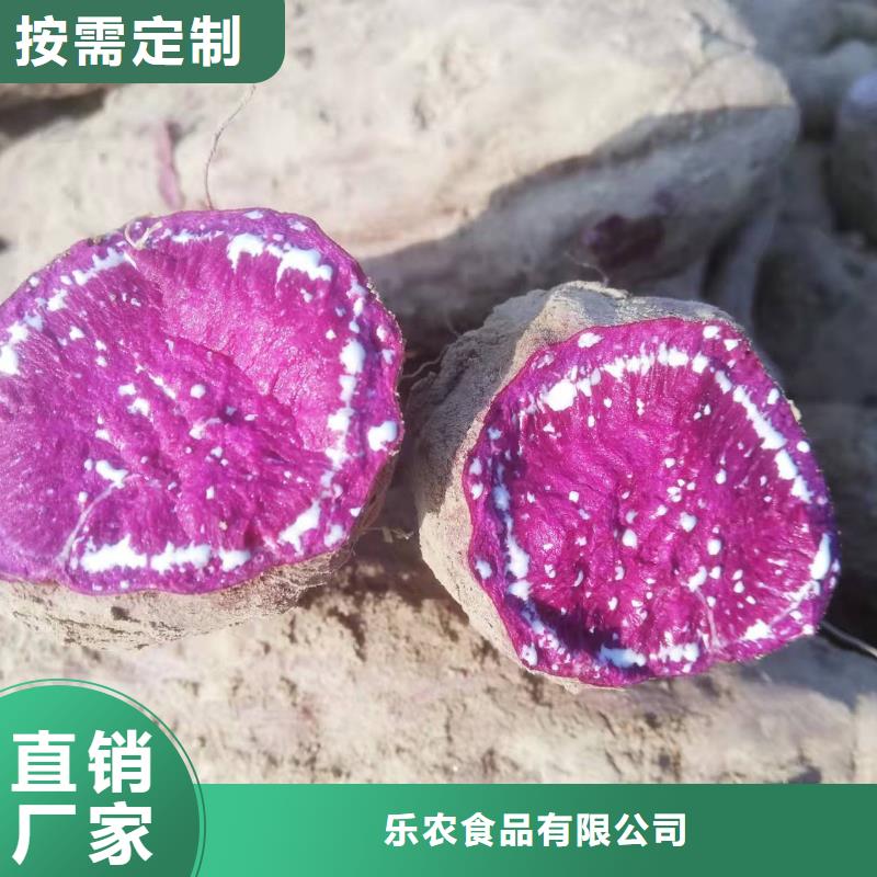 濟黑2號地瓜苗（紫薯苗）品種多樣