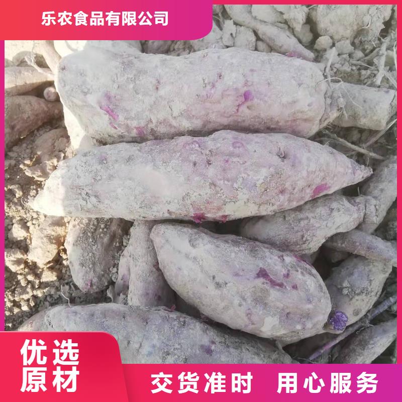 紫薯苗子銷售