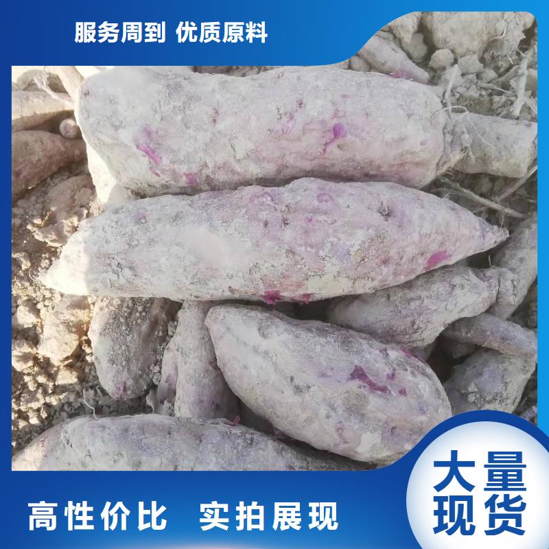 紫薯種苗多少錢