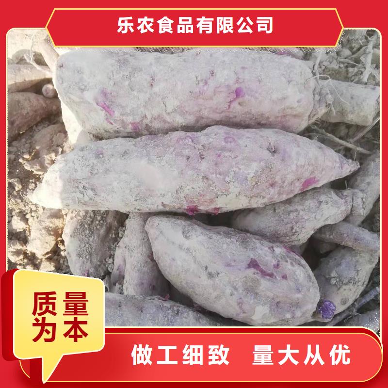 麥茬苗普薯32號（紅薯苗）生長周期