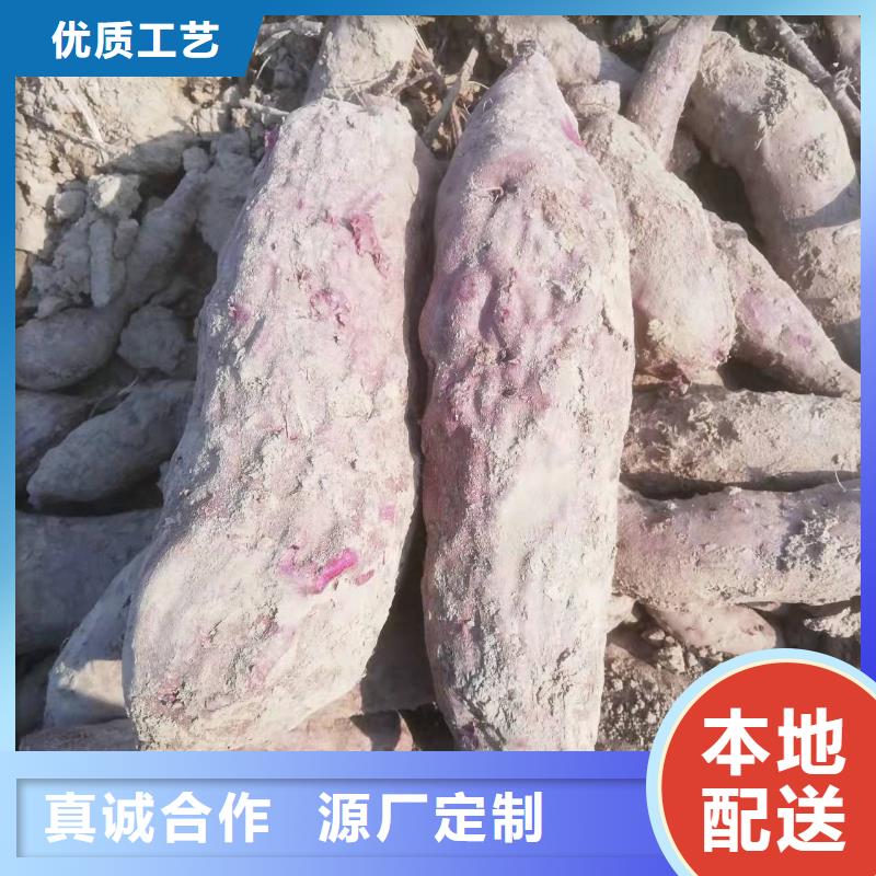 紫甘薯苗能吃嗎