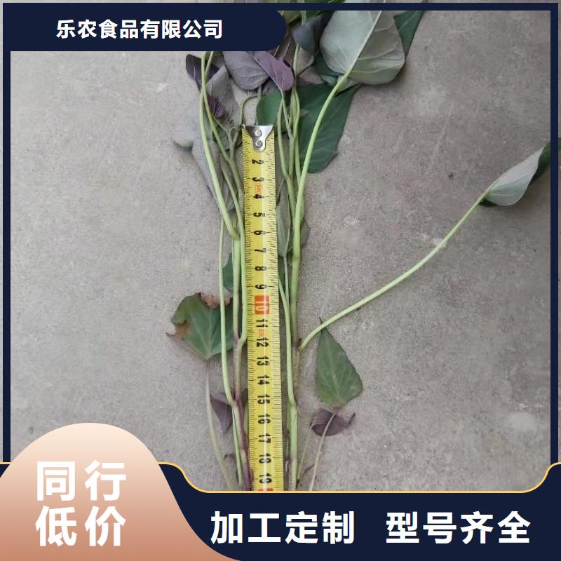 紅薯苗（西瓜紅）什么時候種