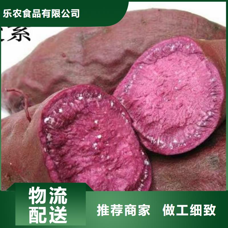夏薯濟黑2號苗子品種多樣