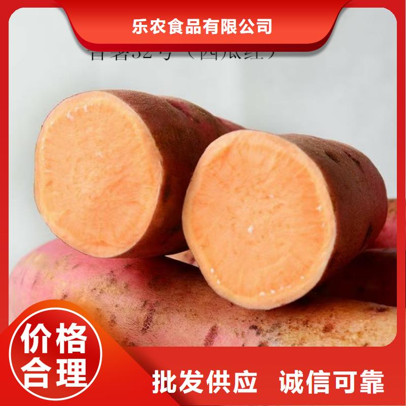 紫薯苗_羽衣甘藍粉廠家定制