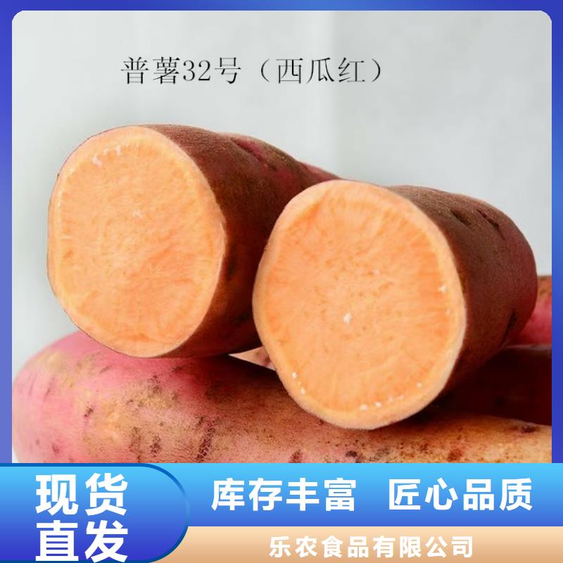 紫地瓜苗種植廠家