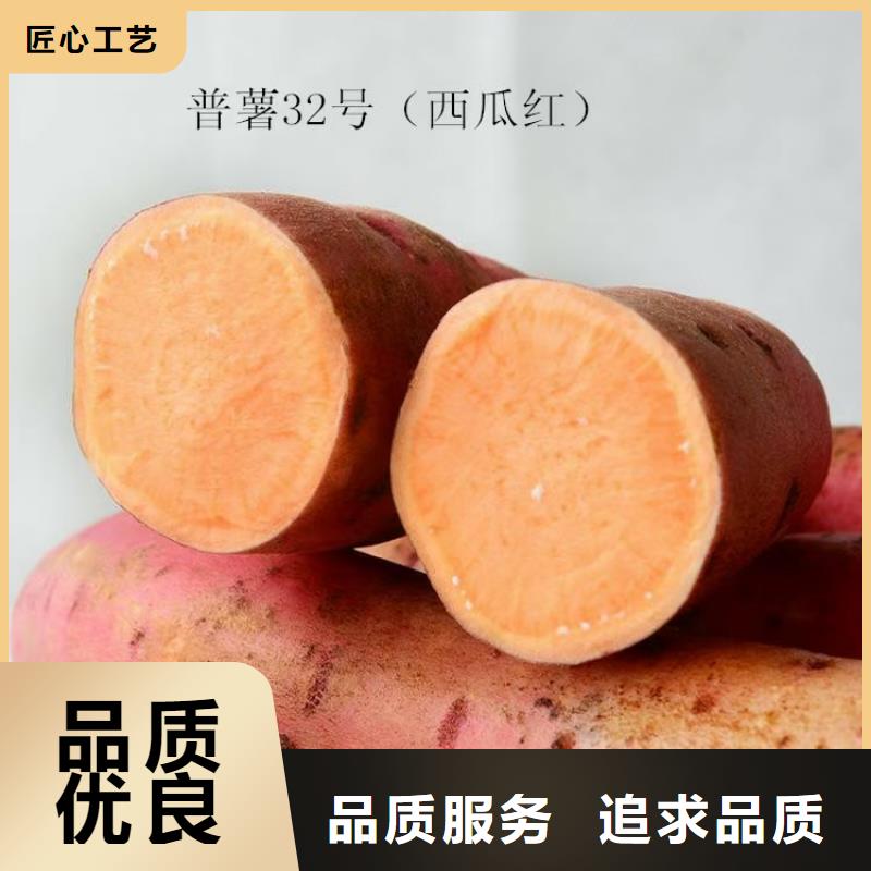 紫薯種子能吃嗎
