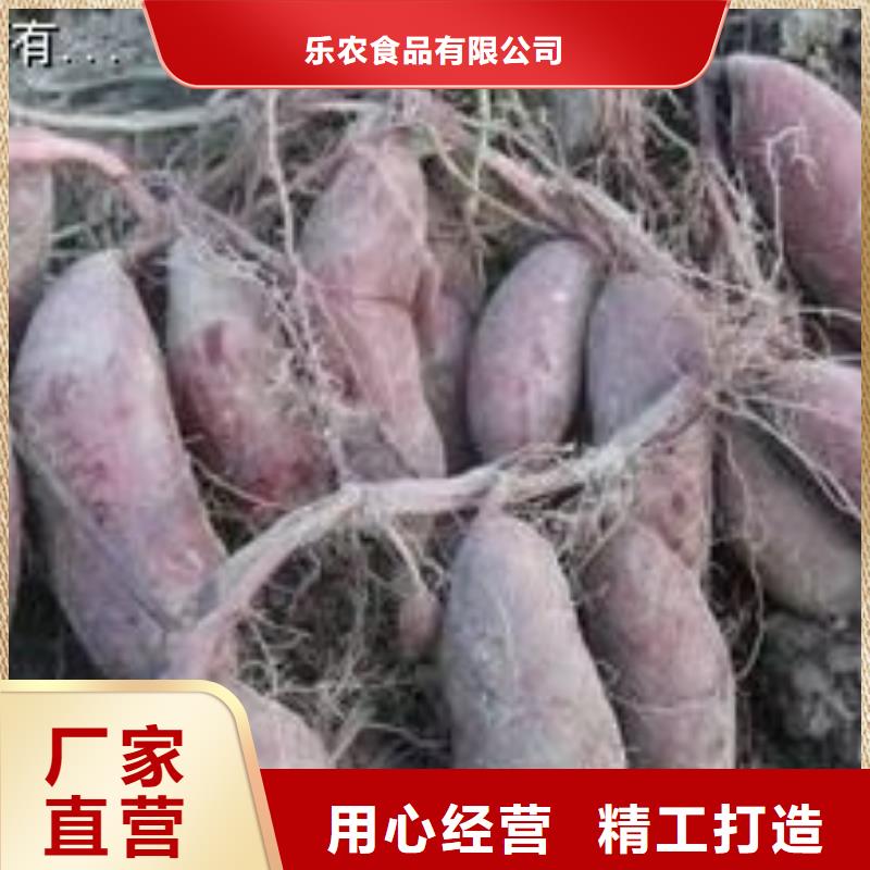 紫薯苗供應