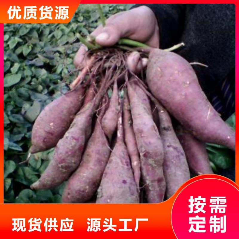 紫薯苗南瓜粉用心細節