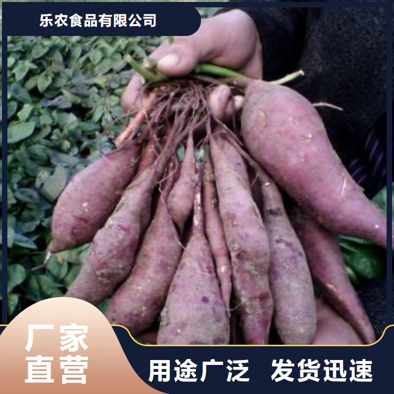 高剪紅薯苗茬苗