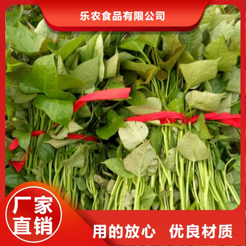 高產紅薯苗（普薯32號)移栽機