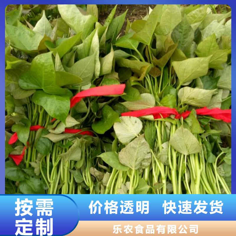 紫薯種子能吃嗎
