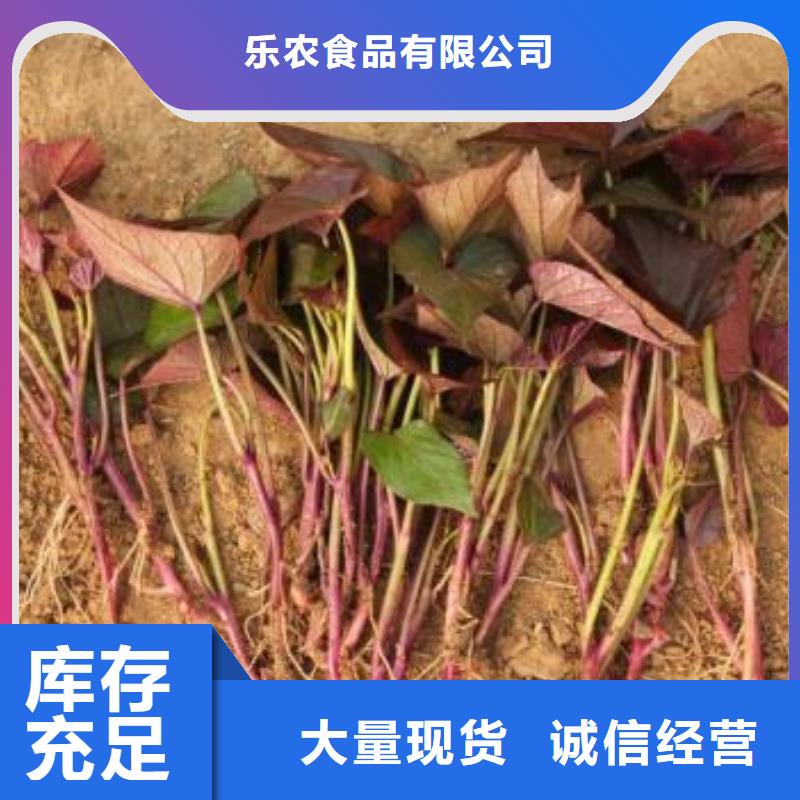 紫薯種子?；厥?></li>	
					 						
					    </ul>
                        
                    </ul>
                    <ul class=