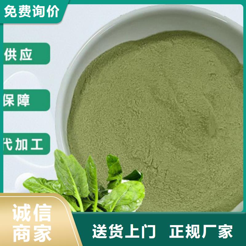 菠菜生粉厂家直销