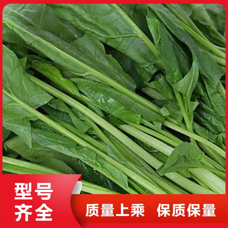 菠菜粉正規廠家