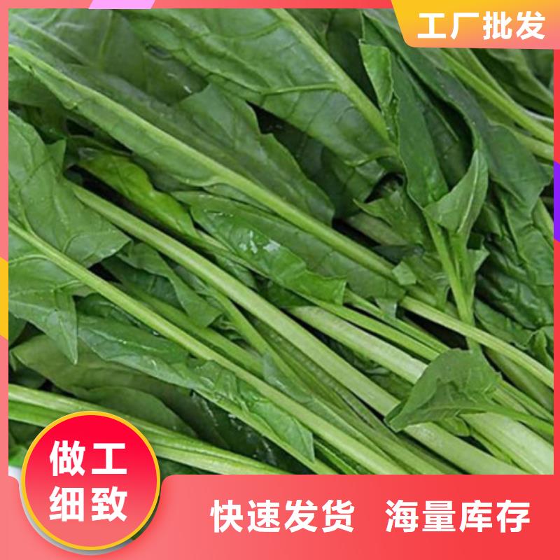 脫水菠菜粉