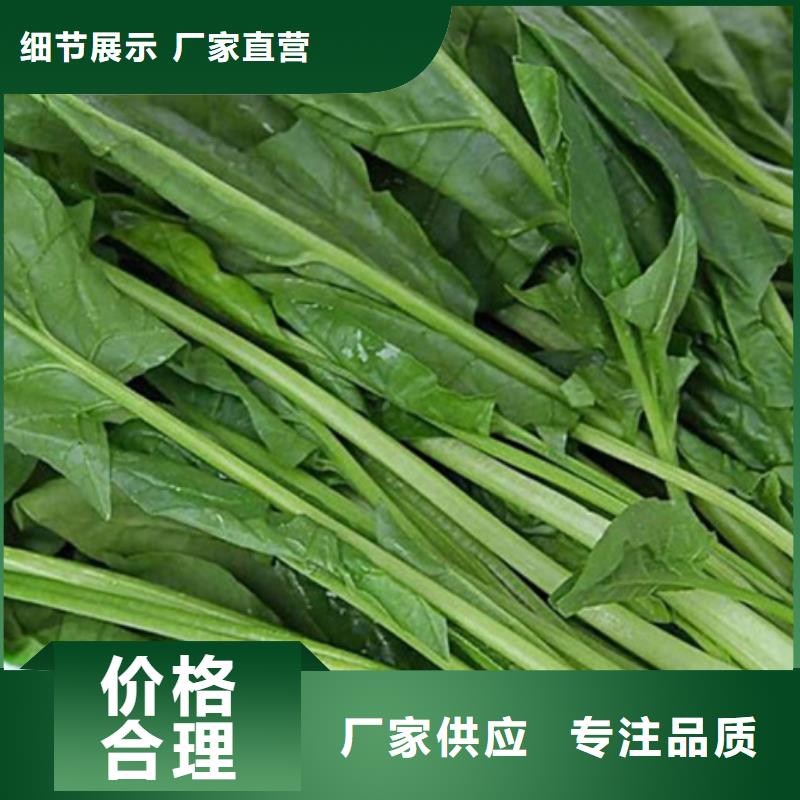 紫薯丁视频-安庆市紫薯丁-附近可服务区域太湖|宜秀|亳州|六安|蚌埠|合肥|马鞍山|铜陵