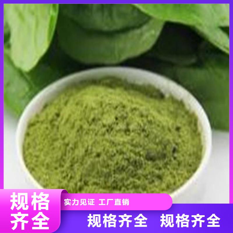 脫水菠菜粉質(zhì)量優(yōu)