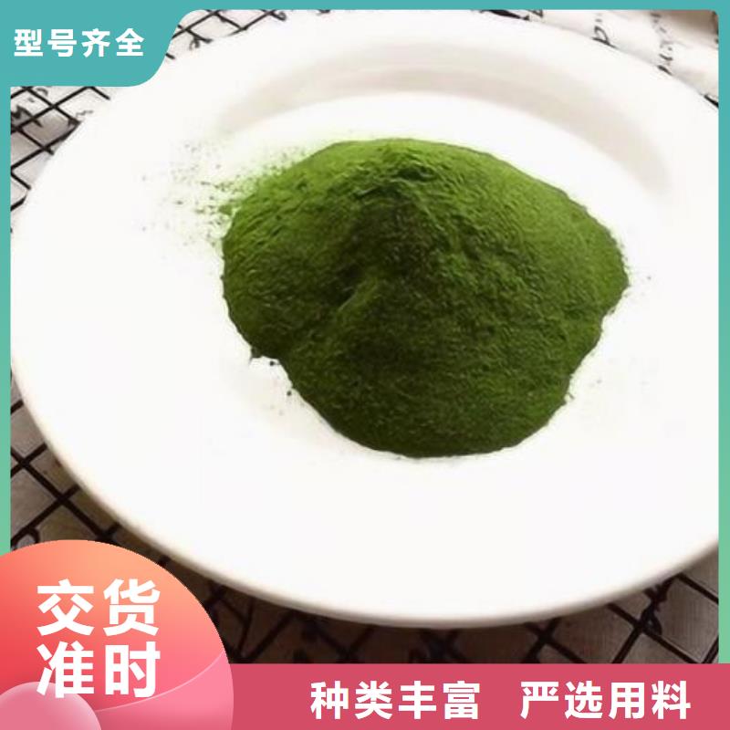 菠菜粉貨源充足
