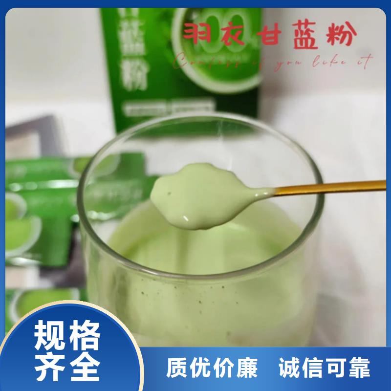 羽衣甘藍粉今日報價