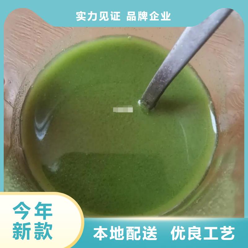 找羽衣甘藍廠家選樂農食品有限公司