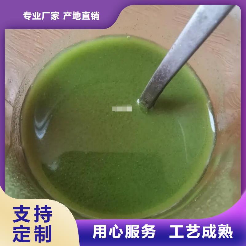 羽衣甘藍品質保障