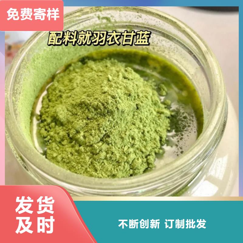 羽衣甘藍廠家-歡迎新老客戶來電咨詢