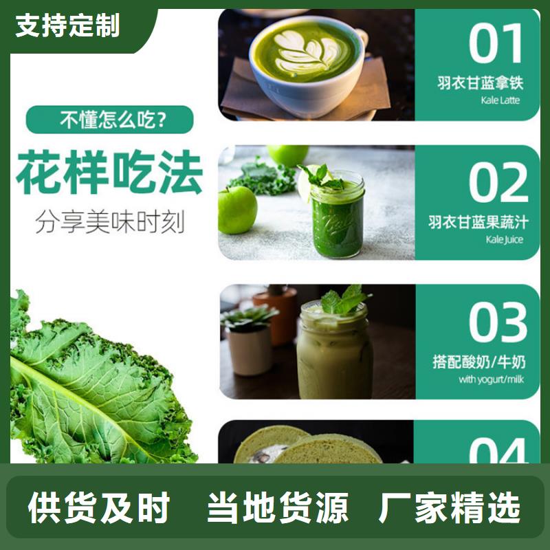 找羽衣甘藍廠家選樂農食品有限公司