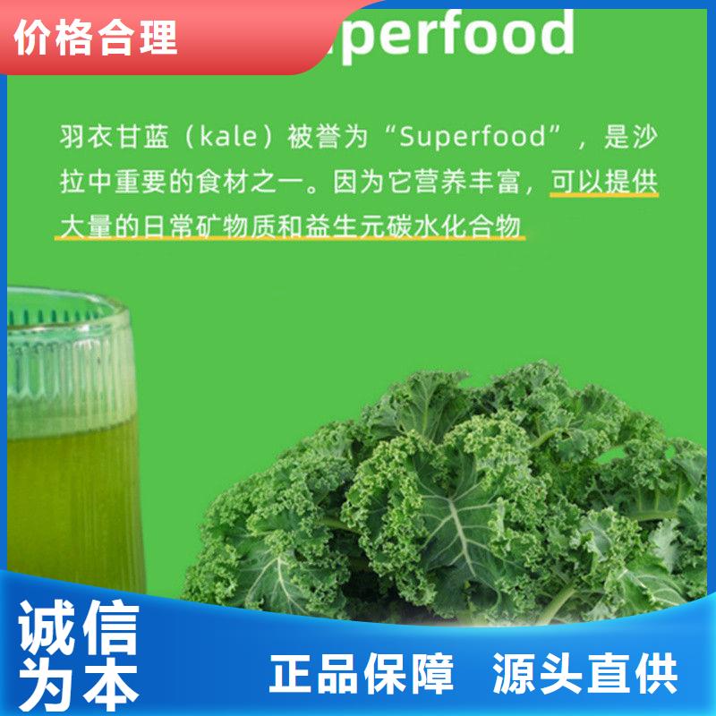 供應羽衣甘藍粉現貨
