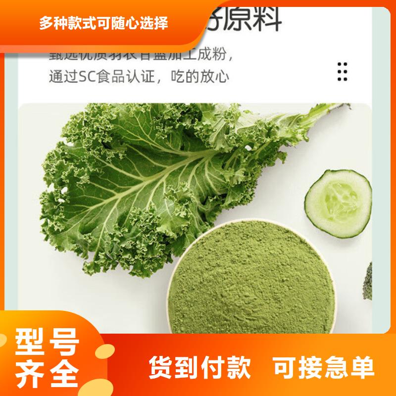 羽衣甘藍(lán)粉隊(duì)伍