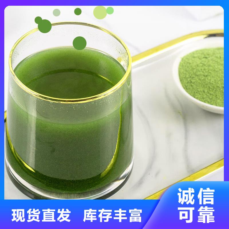 羽衣甘藍粉-歡迎來廠考察