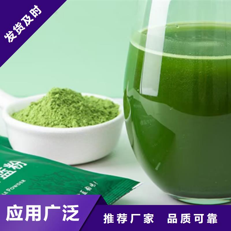 供應羽衣甘藍粉的廠家