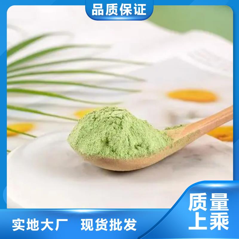 羽衣甘藍廠家-歡迎新老客戶來電咨詢