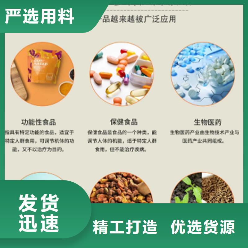 北京羽衣甘藍現貨充裕