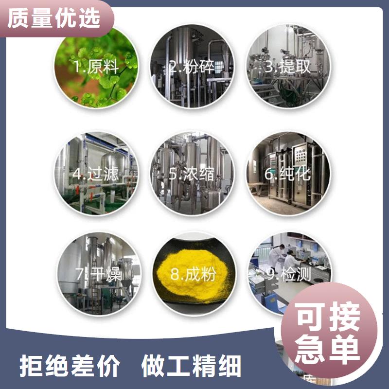 羽衣甘藍粉、羽衣甘藍粉廠家直銷-發貨及時
