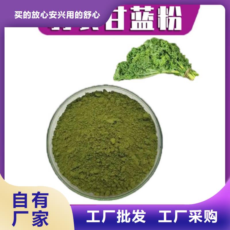羽衣甘藍(lán)庫存充足