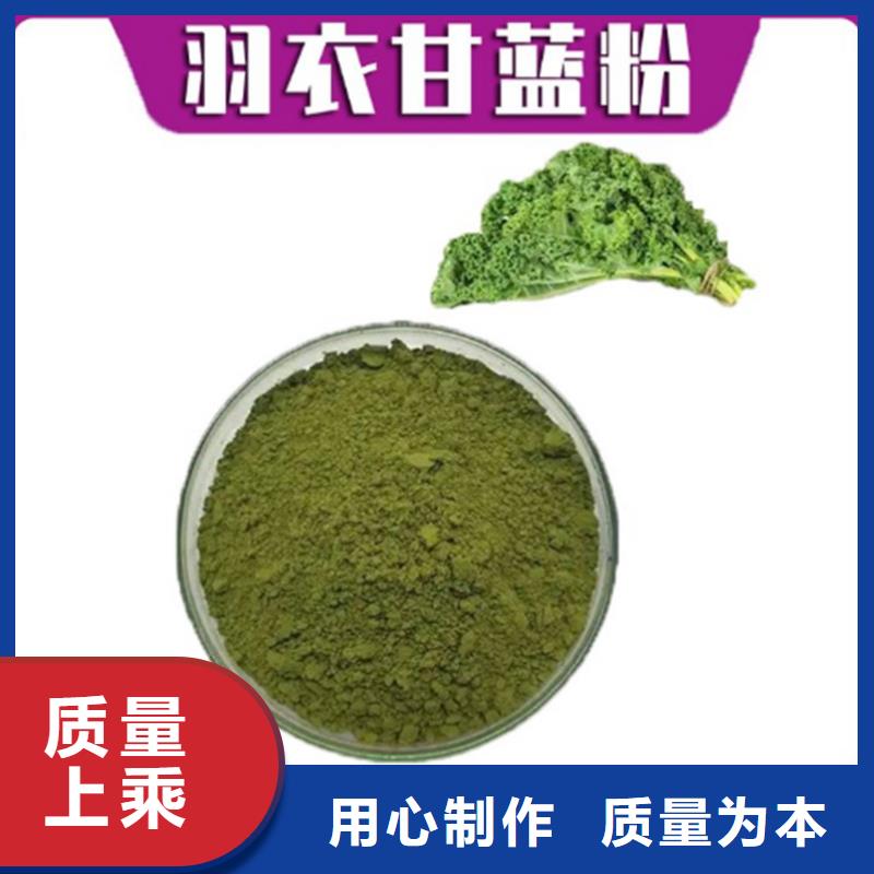 甘藍粉生產廠家-型號齊全