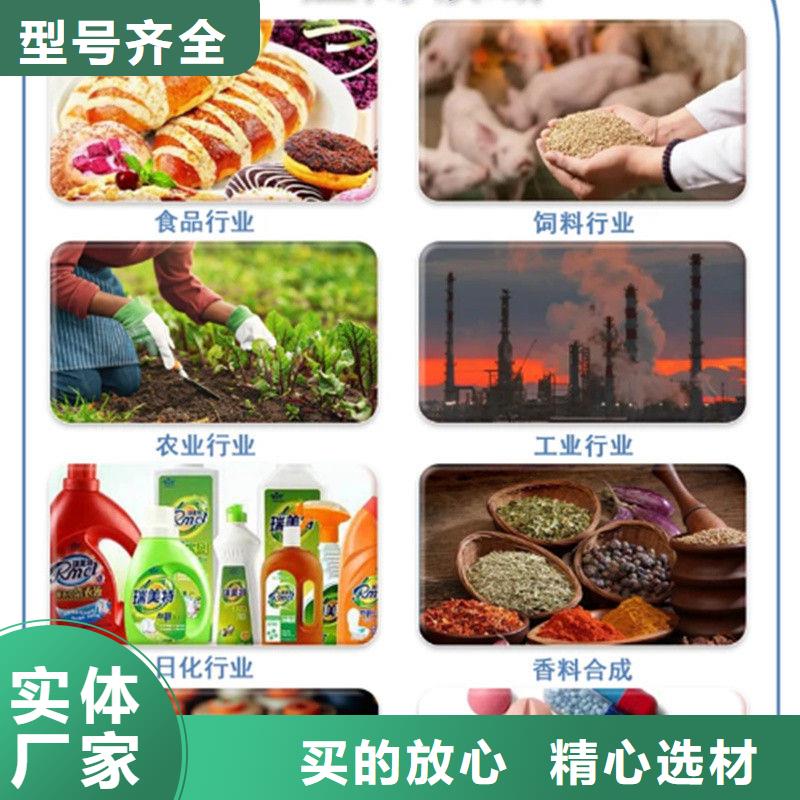 脫水羽衣甘藍產品介紹